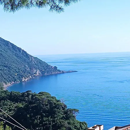 2 Mimose Διαμέρισμα *