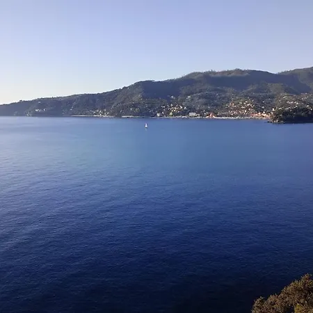 2 Mimose * Recco