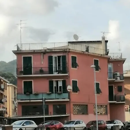 2 Mimose