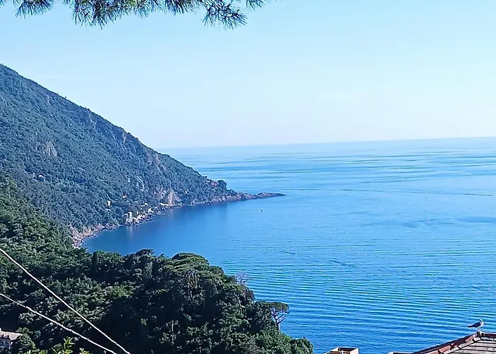 2 Mimose Lägenhet *